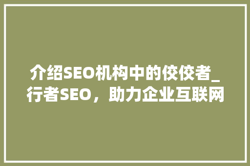 介绍SEO机构中的佼佼者_行者SEO，助力企业互联网营销新篇章