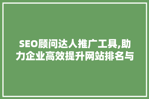 SEO顾问达人推广工具,助力企业高效提升网站排名与流量