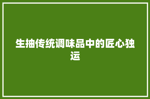 生抽传统调味品中的匠心独运
