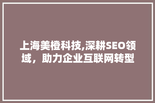 上海美橙科技,深耕SEO领域，助力企业互联网转型