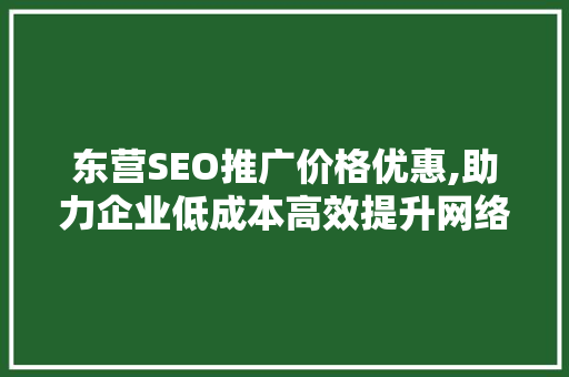 东营SEO推广价格优惠,助力企业低成本高效提升网络曝光度