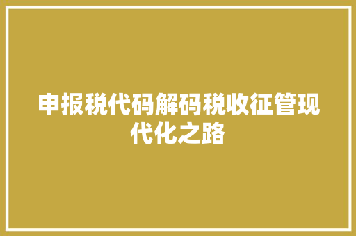 申报税代码解码税收征管现代化之路