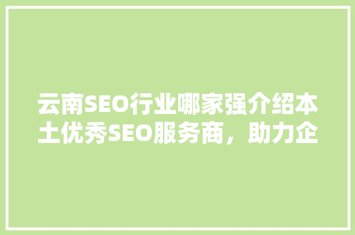 云南SEO行业哪家强介绍本土优秀SEO服务商，助力企业腾飞！