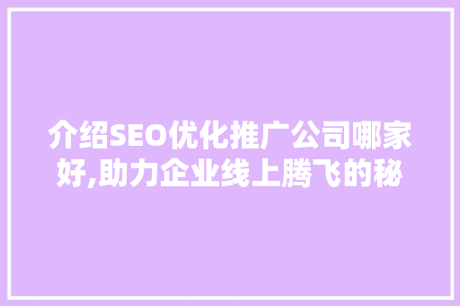 介绍SEO优化推广公司哪家好,助力企业线上腾飞的秘密武器