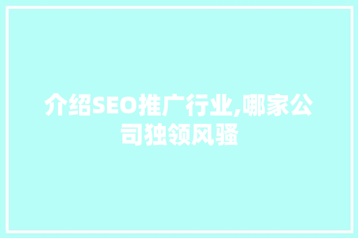 介绍SEO推广行业,哪家公司独领风骚