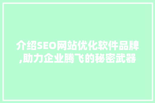 介绍SEO网站优化软件品牌,助力企业腾飞的秘密武器