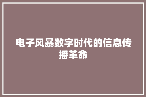 电子风暴数字时代的信息传播革命