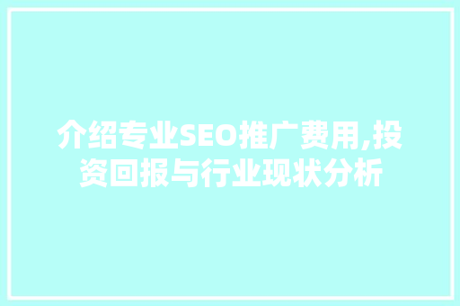 介绍专业SEO推广费用,投资回报与行业现状分析