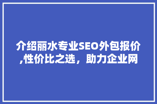 介绍丽水专业SEO外包报价,性价比之选，助力企业网络营销腾飞
