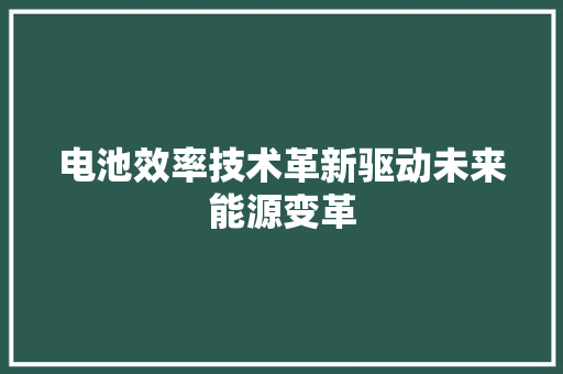 电池效率技术革新驱动未来能源变革