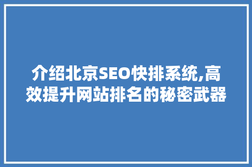 介绍北京SEO快排系统,高效提升网站排名的秘密武器