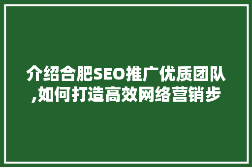 介绍合肥SEO推广优质团队,如何打造高效网络营销步骤