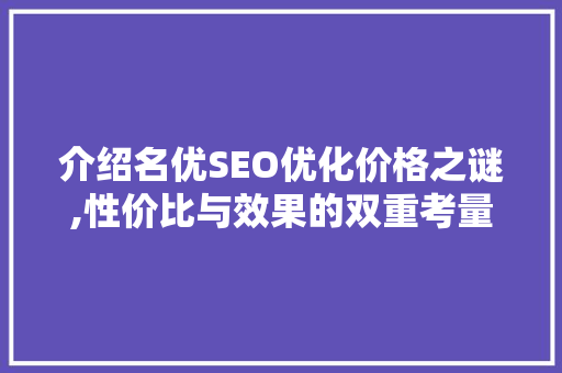 介绍名优SEO优化价格之谜,性价比与效果的双重考量