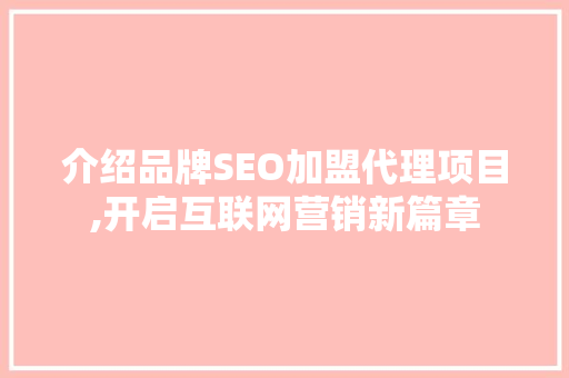 介绍品牌SEO加盟代理项目,开启互联网营销新篇章  第1张
