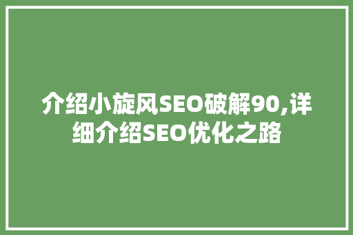 介绍小旋风SEO破解90,详细介绍SEO优化之路