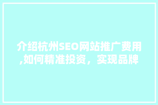 介绍杭州SEO网站推广费用,如何精准投资，实现品牌飞跃