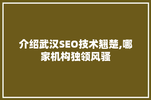 介绍武汉SEO技术翘楚,哪家机构独领风骚