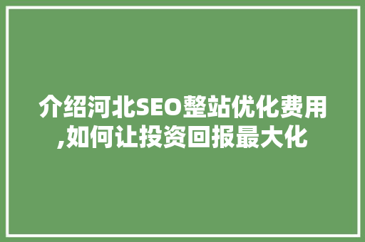 介绍河北SEO整站优化费用,如何让投资回报最大化