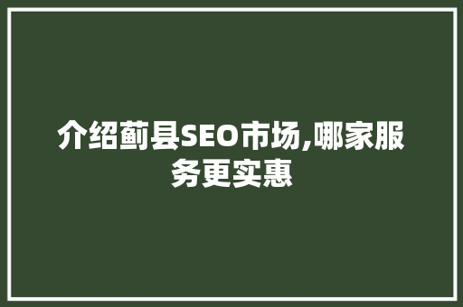 介绍蓟县SEO市场,哪家服务更实惠