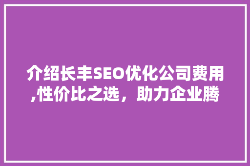 介绍长丰SEO优化公司费用,性价比之选，助力企业腾飞