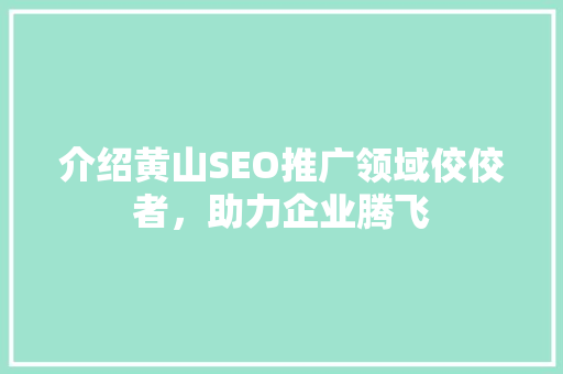 介绍黄山SEO推广领域佼佼者，助力企业腾飞