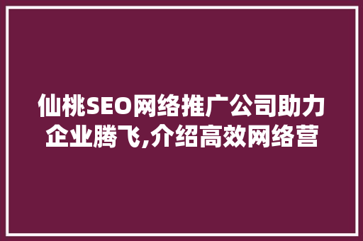 仙桃SEO网络推广公司助力企业腾飞,介绍高效网络营销之路