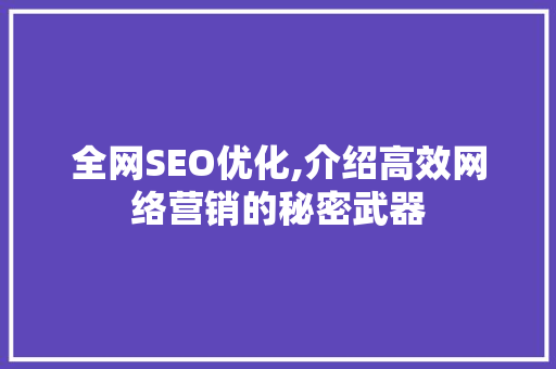 全网SEO优化,介绍高效网络营销的秘密武器