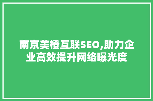 南京美橙互联SEO,助力企业高效提升网络曝光度