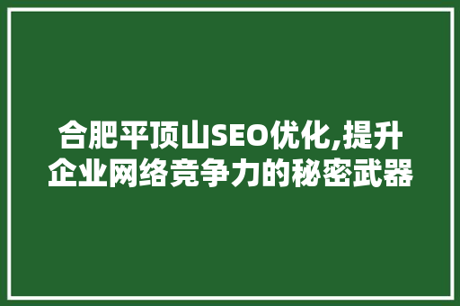 合肥平顶山SEO优化,提升企业网络竞争力的秘密武器
