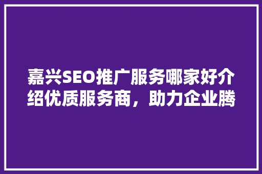 嘉兴SEO推广服务哪家好介绍优质服务商，助力企业腾飞