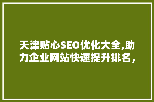 天津贴心SEO优化大全,助力企业网站快速提升排名，抢占市场先机