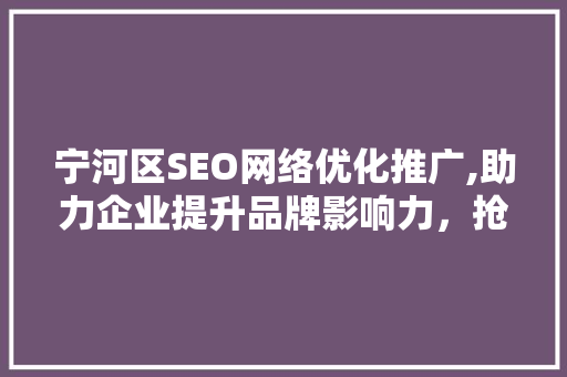 宁河区SEO网络优化推广,助力企业提升品牌影响力，抢占市场先机