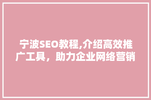 宁波SEO教程,介绍高效推广工具，助力企业网络营销腾飞
