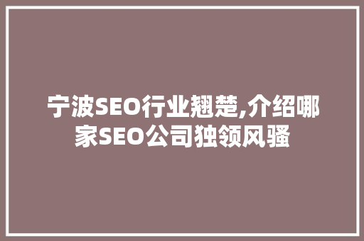 宁波SEO行业翘楚,介绍哪家SEO公司独领风骚