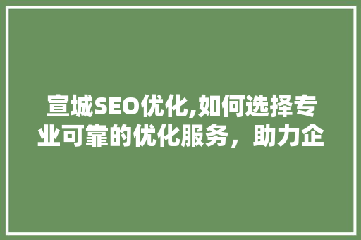 宣城SEO优化,如何选择专业可靠的优化服务，助力企业腾飞