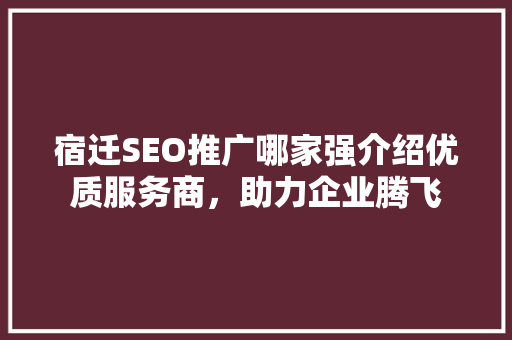 宿迁SEO推广哪家强介绍优质服务商，助力企业腾飞