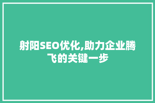 射阳SEO优化,助力企业腾飞的关键一步  第1张