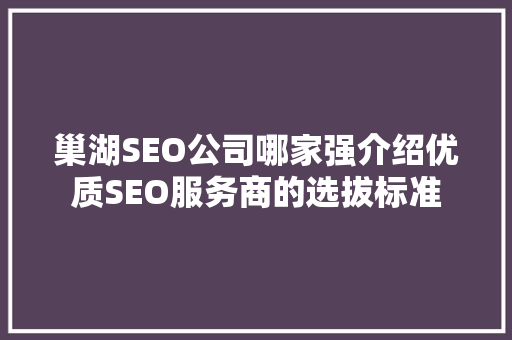 巢湖SEO公司哪家强介绍优质SEO服务商的选拔标准
