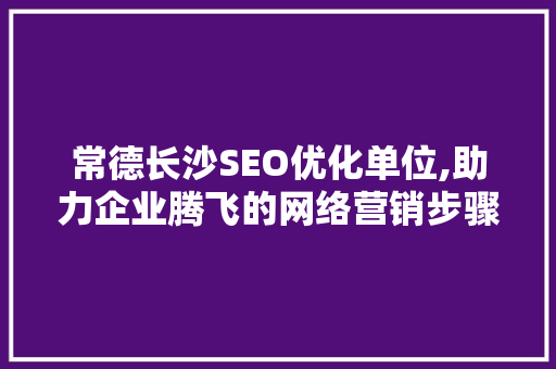 常德长沙SEO优化单位,助力企业腾飞的网络营销步骤