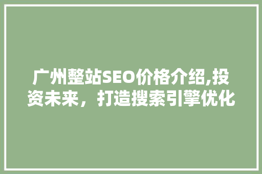 广州整站SEO价格介绍,投资未来，打造搜索引擎优化新篇章