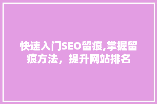 快速入门SEO留痕,掌握留痕方法，提升网站排名  第1张
