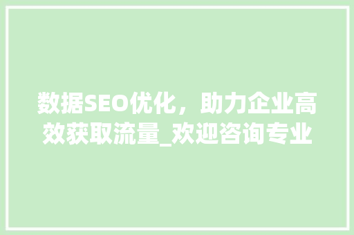 数据SEO优化，助力企业高效获取流量_欢迎咨询专业服务