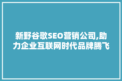 新野谷歌SEO营销公司,助力企业互联网时代品牌腾飞