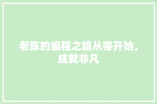 老陈的编程之旅从零开始，成就非凡