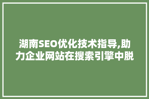 湖南SEO优化技术指导,助力企业网站在搜索引擎中脱颖而出
