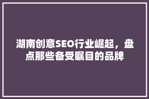 湖南创意SEO行业崛起，盘点那些备受瞩目的品牌