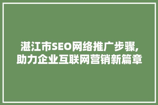 湛江市SEO网络推广步骤,助力企业互联网营销新篇章