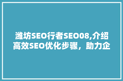 潍坊SEO行者SEO08,介绍高效SEO优化步骤，助力企业网站腾飞