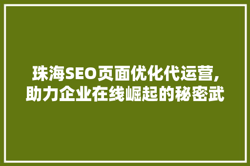 珠海SEO页面优化代运营,助力企业在线崛起的秘密武器