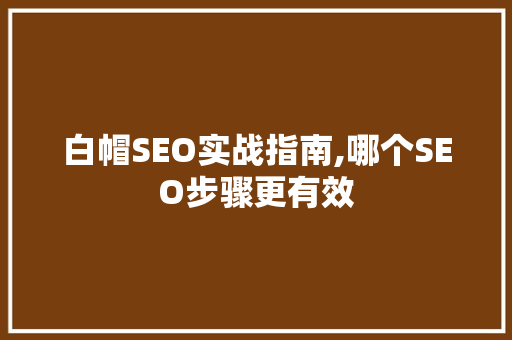 白帽SEO实战指南,哪个SEO步骤更有效